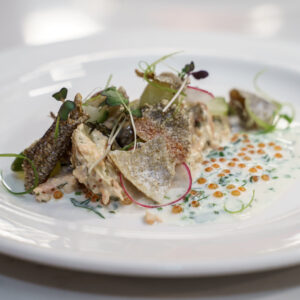 220557601_344277957428669_1908933682125652795_n